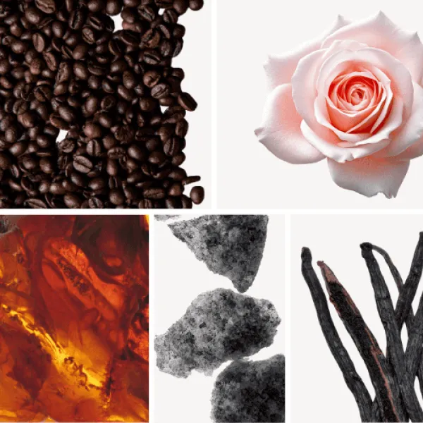 Duftnoten: Kaffee, Rose, Bernstein, Moschus, Vanille